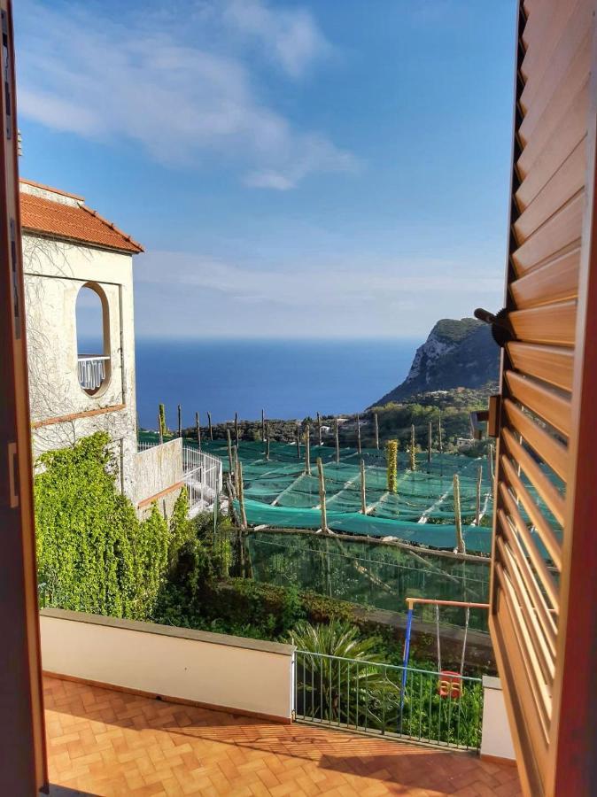 Villa Mariel Suites & Apartment マッサ・ルブレンセ 部屋 写真